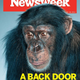 Image for article titled From Miasma to Ebola: The History of Racist Moral Panic Over Disease